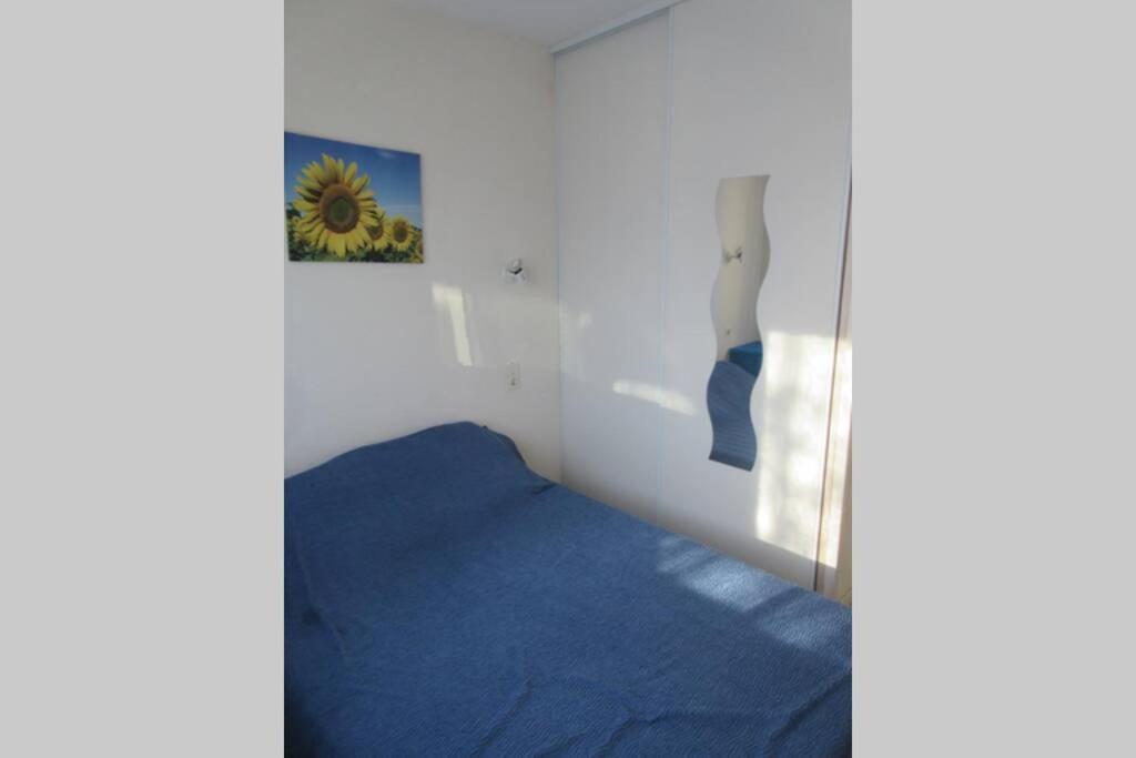 Apt Climatise T3 Saint Pierre La Mer, Terrasse, Jardin Et Parking Prive เฟลอรี ภายนอก รูปภาพ